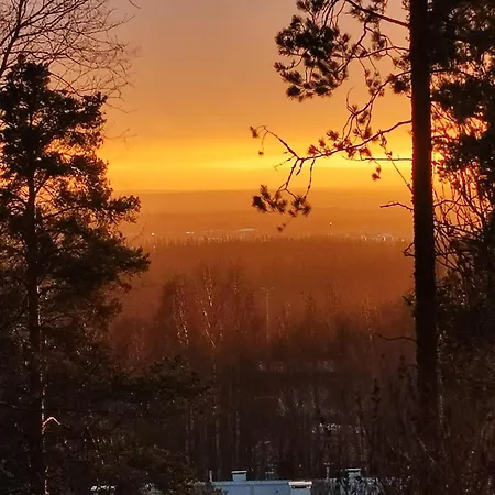 My Hillside With A Beautiful View, Next To The Bus Stop *