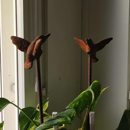 My Hillside With A Beautiful View, Next To The Bus Stop