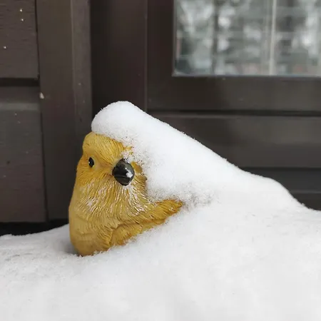 My Hillside With A Beautiful View, Next To The Bus Stop *