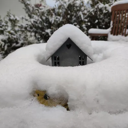 My Hillside With A Beautiful View, Next To The Bus Stop 公寓 *