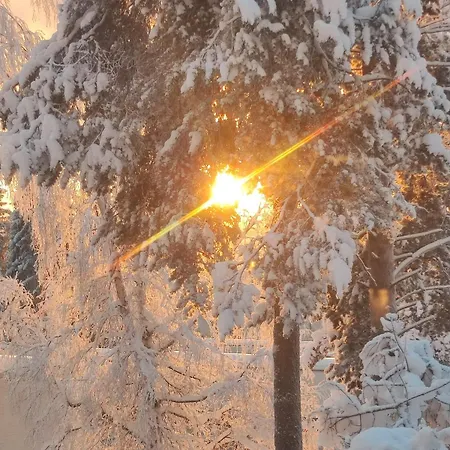 My Hillside With A Beautiful View, Next To The Bus Stop * 罗瓦涅米