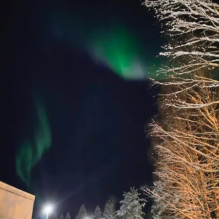 My Hillside With A Beautiful View, Next To The Bus Stop