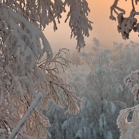 My Hillside With A Beautiful View, Next To The Bus Stop 公寓 罗瓦涅米