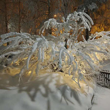 公寓 My Hillside With A Beautiful View, Next To The Bus Stop